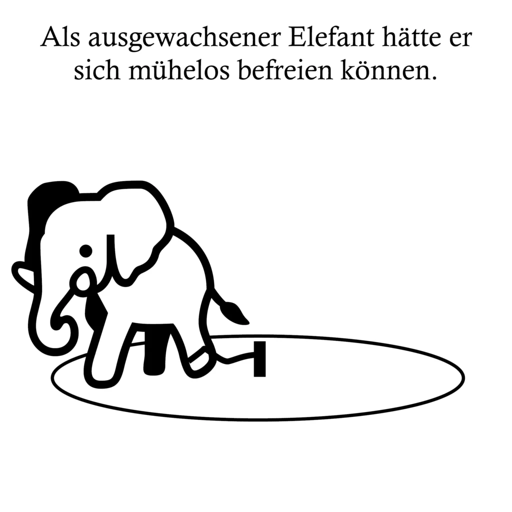 Als ausgewachsener Elefant hätte er sich mühelos befreien können.